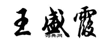 胡問遂王盛霞行書個性簽名怎么寫