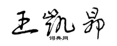 曾慶福王凱昂草書個性簽名怎么寫