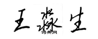 王正良王淼生行書個性簽名怎么寫