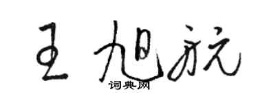 駱恆光王旭航草書個性簽名怎么寫