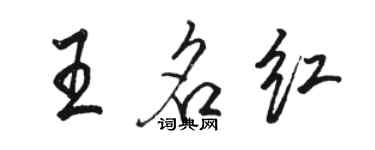 駱恆光王名紅行書個性簽名怎么寫