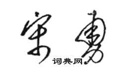 駱恆光宋勇草書個性簽名怎么寫