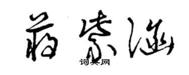 曾慶福蔣紫涵草書個性簽名怎么寫