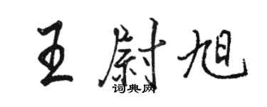 駱恆光王尉旭行書個性簽名怎么寫