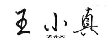 駱恆光王小真行書個性簽名怎么寫