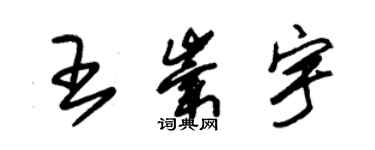 朱錫榮王崇宇草書個性簽名怎么寫