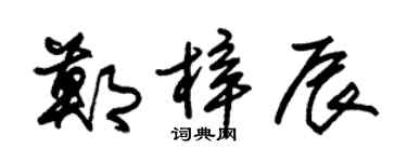 朱錫榮鄭梓辰草書個性簽名怎么寫
