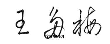 駱恆光王多梅草書個性簽名怎么寫