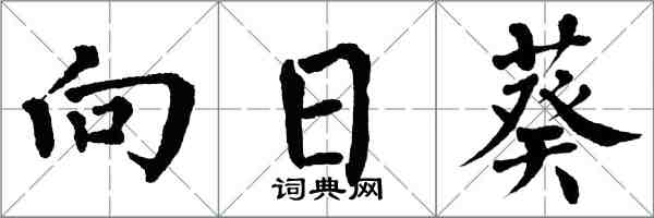 翁闓運向日葵楷書怎么寫