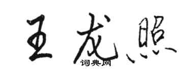 駱恆光王龍照行書個性簽名怎么寫