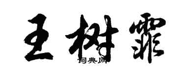 胡問遂王樹霏行書個性簽名怎么寫