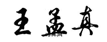 胡問遂王孟真行書個性簽名怎么寫