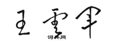 駱恆光王雲軍草書個性簽名怎么寫