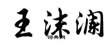 胡問遂王沫瀾行書個性簽名怎么寫