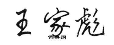 駱恆光王家彪行書個性簽名怎么寫