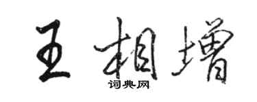 駱恆光王相增行書個性簽名怎么寫