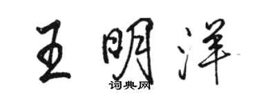 駱恆光王明洋行書個性簽名怎么寫