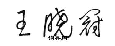 駱恆光王曉冠草書個性簽名怎么寫