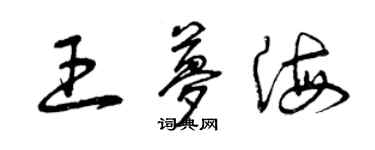 曾慶福王夢海草書個性簽名怎么寫