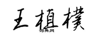 王正良王植朴行書個性簽名怎么寫