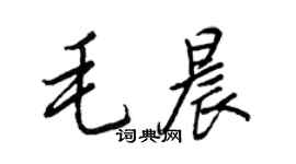 王正良毛晨行書個性簽名怎么寫