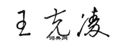 駱恆光王克凌草書個性簽名怎么寫