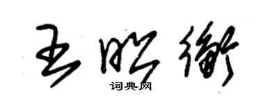 朱錫榮王昭衡草書個性簽名怎么寫