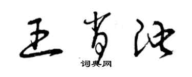 曾慶福王肖池草書個性簽名怎么寫