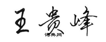 駱恆光王貴峰行書個性簽名怎么寫
