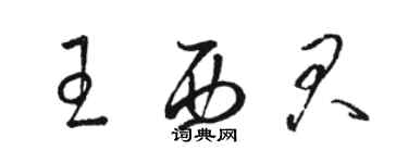 駱恆光王西君草書個性簽名怎么寫