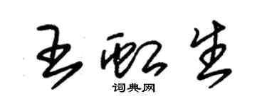 朱錫榮王虹生草書個性簽名怎么寫