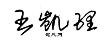 朱錫榮王凱理草書個性簽名怎么寫