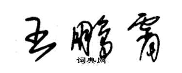 朱錫榮王鵬霄草書個性簽名怎么寫