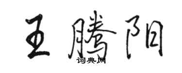 駱恆光王騰陽行書個性簽名怎么寫