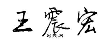 曾慶福王震宏行書個性簽名怎么寫