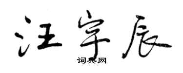 曾慶福汪宇辰行書個性簽名怎么寫