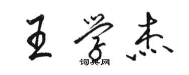 駱恆光王學傑行書個性簽名怎么寫