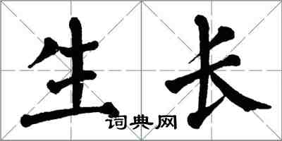 翁闓運生長楷書怎么寫