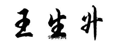 胡問遂王生升行書個性簽名怎么寫