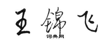 駱恆光王錦飛行書個性簽名怎么寫