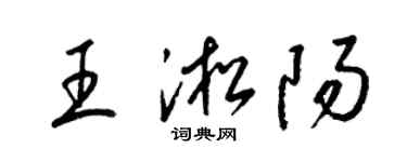 梁錦英王淞陽草書個性簽名怎么寫