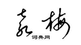 梁錦英袁梅草書個性簽名怎么寫