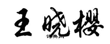 胡問遂王曉櫻行書個性簽名怎么寫