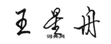 駱恆光王星舟行書個性簽名怎么寫