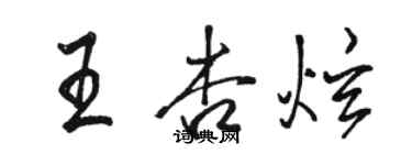 駱恆光王杏炫行書個性簽名怎么寫