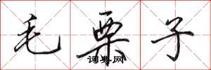 田英章毛栗子行書怎么寫