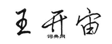 駱恆光王開宙行書個性簽名怎么寫