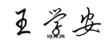 駱恆光王學安行書個性簽名怎么寫