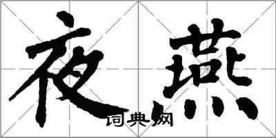 翁闓運夜燕楷書怎么寫