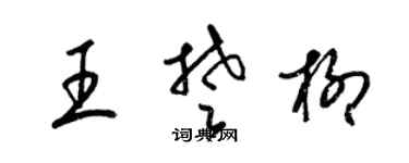 梁錦英王楚柳草書個性簽名怎么寫